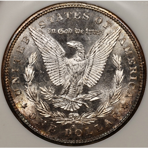 1881-S Morgan Dollar NGC MS64 Fatty, gem!