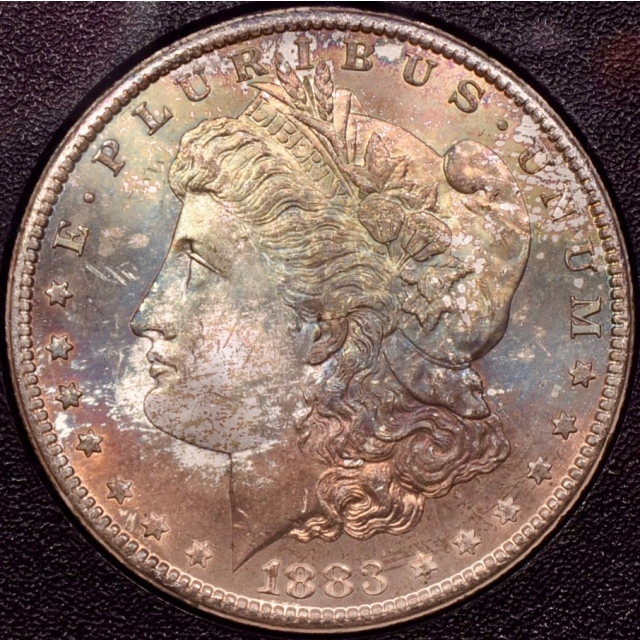 1883-CC GSA Morgan Dollar NGC MS64, beautifully toned obverse