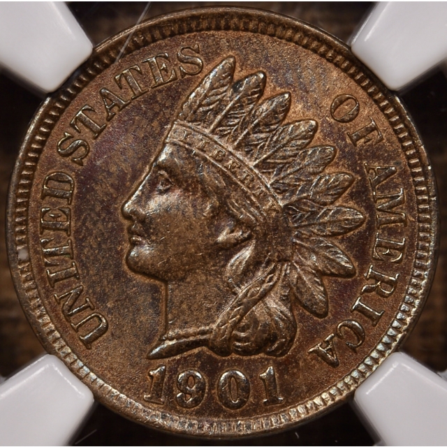 1901 Indian Cent NGC MS63 BN