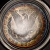 1878 VAM-12 8TF Morgan Dollar PCGS MS62 OGH Album Color! - Image 8