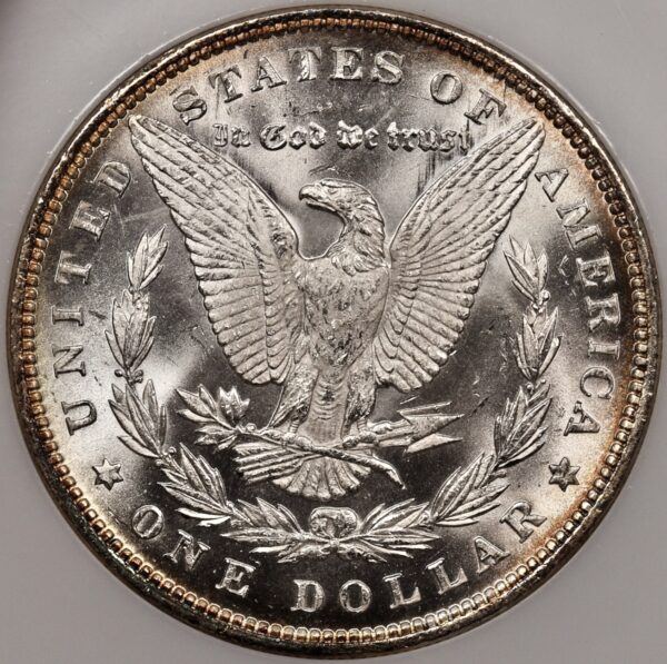 1891 Morgan Dollar NGC MS64 No-Line Fatty CAC - Image 2