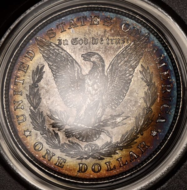 1878 VAM-12 8TF Morgan Dollar PCGS MS62 OGH Album Color! - Image 8