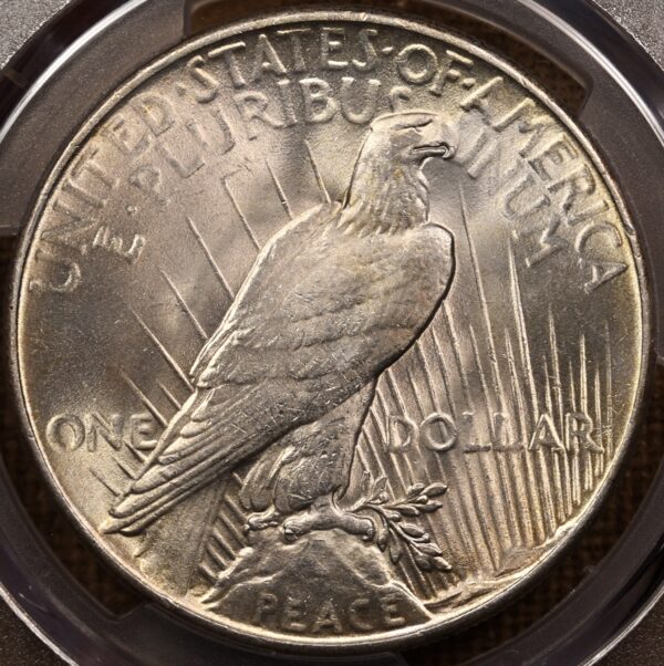 1935 Peace Dollar PCGS MS64 CAC - Image 2