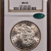 1883-CC Morgan Dollar NGC MS65 CAC - Image 3