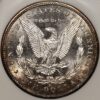 1881-S Morgan Dollar NGC MS64 Fatty, gem! - Image 2