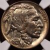1927 Buffalo Nickel NGC MS63, great album color - Image 4