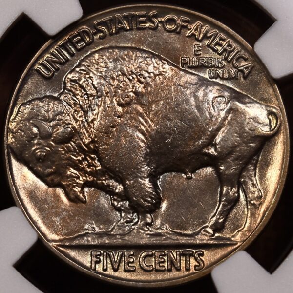 1927 Buffalo Nickel NGC MS63, great album color - Image 7