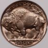 1938-D Buffalo Nickel ANACS MS66 - Image 2