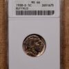 1938-D Buffalo Nickel ANACS MS66 - Image 3