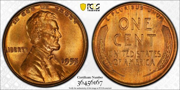 1955 Doubled Die Obverse Lincoln Cent PCGS MS64 RD CAC - Image 3