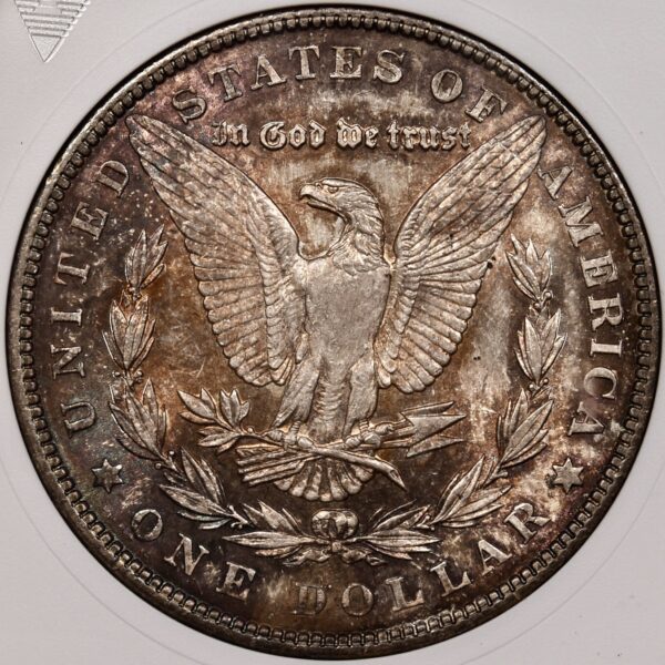 1904 Morgan Dollar old ANACS MS63 - Image 2