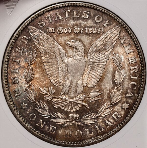 1904 Morgan Dollar old ANACS MS63 - Image 6