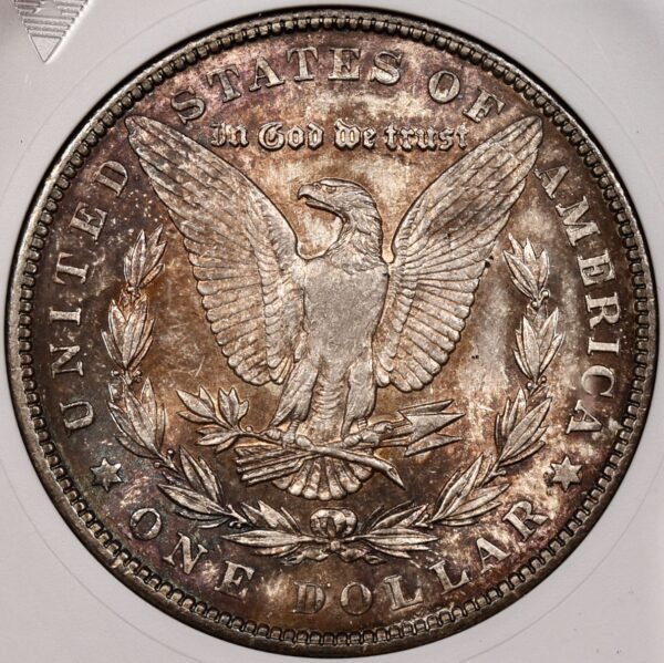 1904 Morgan Dollar old ANACS MS63 - Image 7