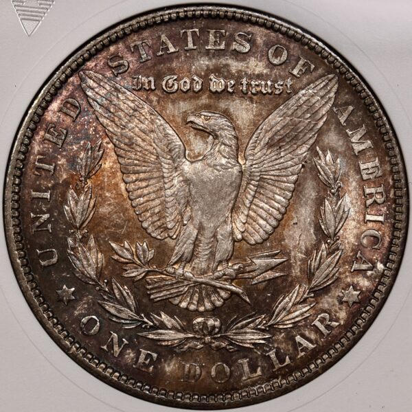 1904 Morgan Dollar old ANACS MS63 - Image 8