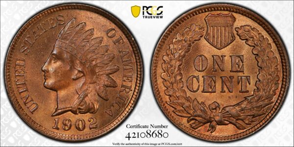 1902 Bronze Indian Cent PCGS MS64 RB - Image 4