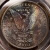 1884-O Morgan Dollar PCGS MS64 CAC WOW! color! - Image 4