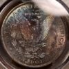 1884-O Morgan Dollar PCGS MS64 CAC WOW! color! - Image 5