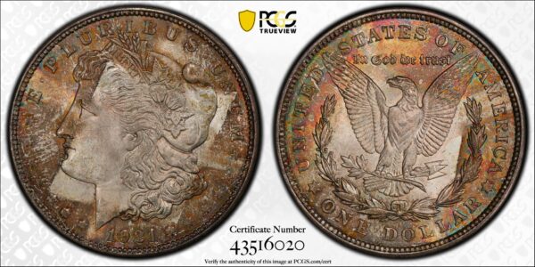 1921 Morgan Dollar PCGS MS64 CAC - Image 7